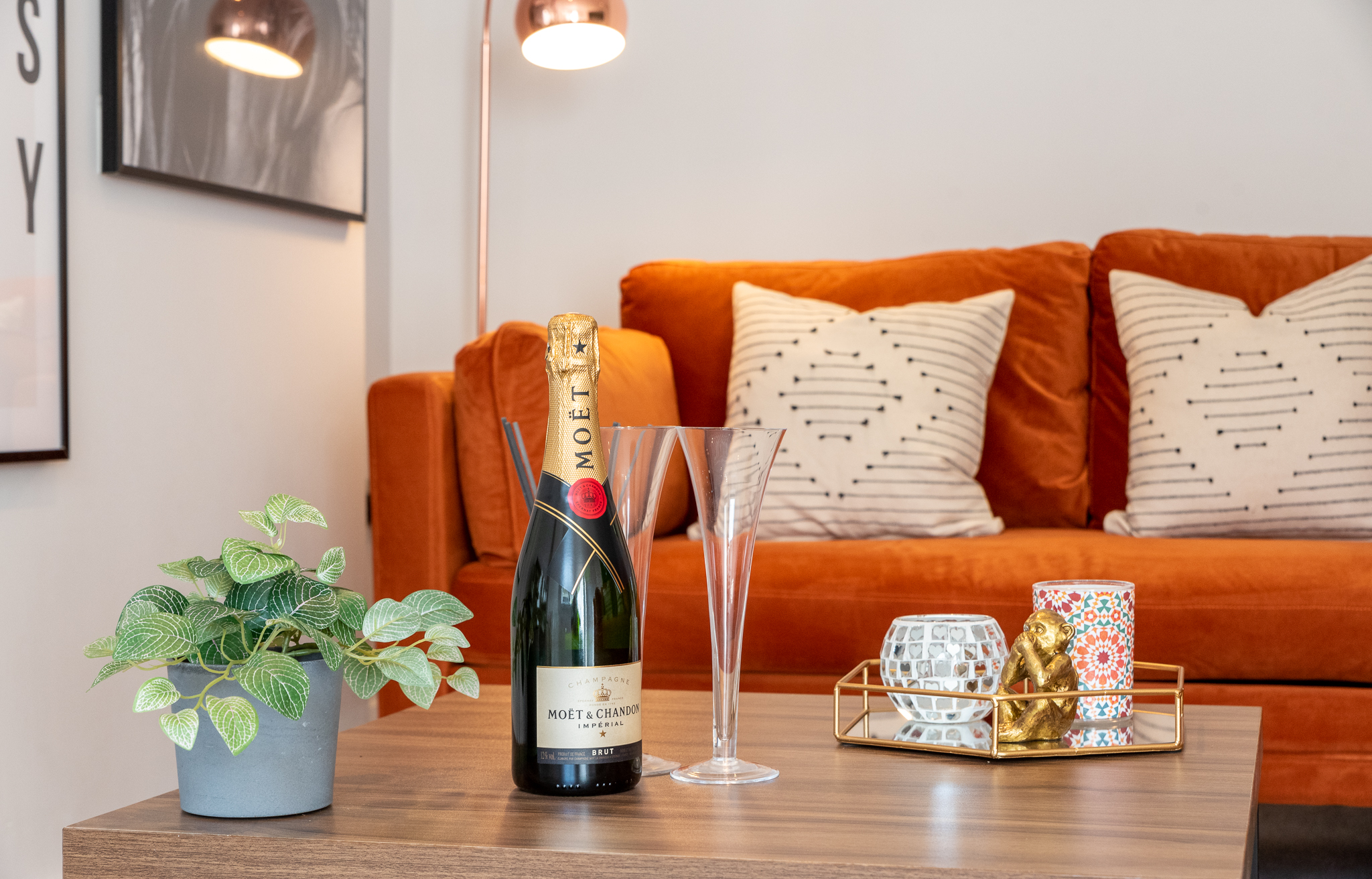 Image of The Garden Flat